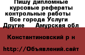 Пишу дипломные курсовые рефераты контрольные работы  - Все города Услуги » Другие   . Амурская обл.,Константиновский р-н